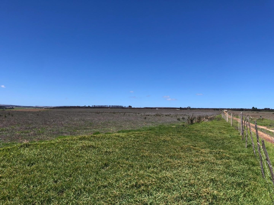 Commercial Property for Sale in Baardskeerdersbos Western Cape